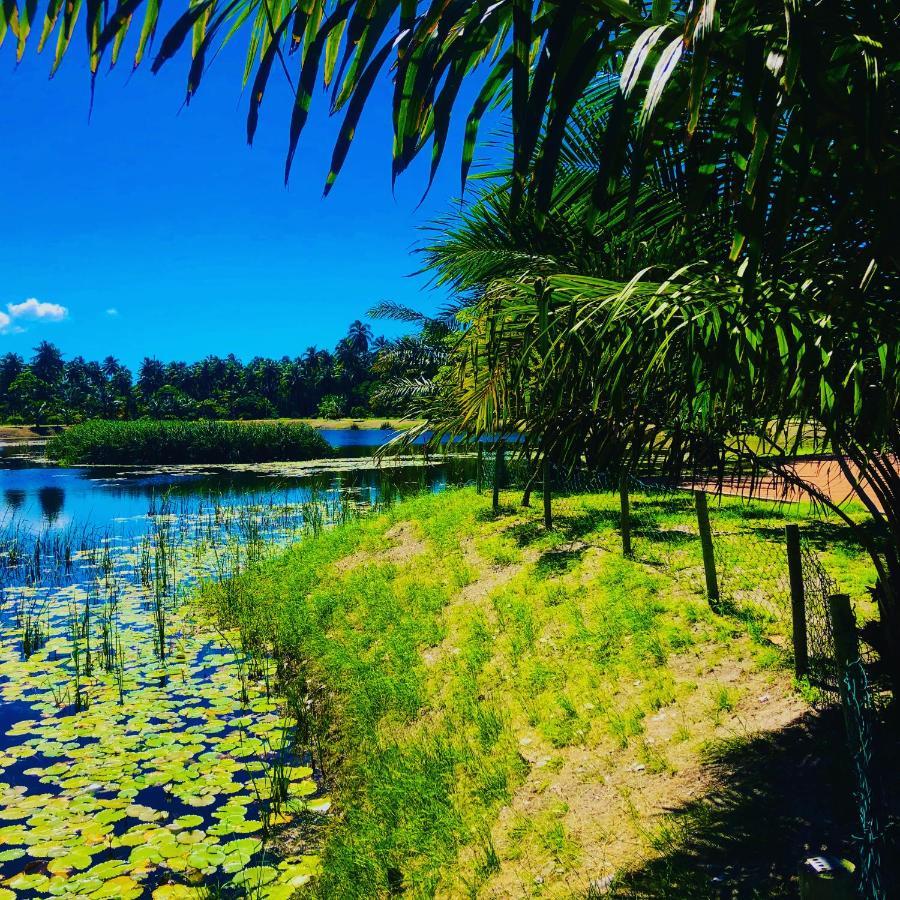 Reserva Do Paiva - A Melhor Casa Para Temporada เฮซิเฟ ภายนอก รูปภาพ